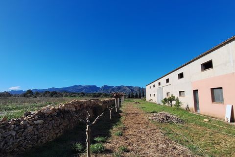 Finca i Ginestar, Tarragona, Ginestar - € 210.000 | Ref: CC837 - foto 27